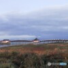 鶴の舞橋③