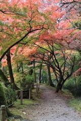 永保寺庭園③