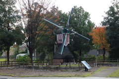 チューリップ公園風車