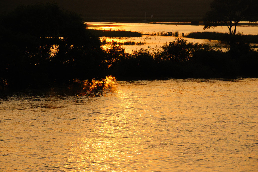 落陽の江戸川