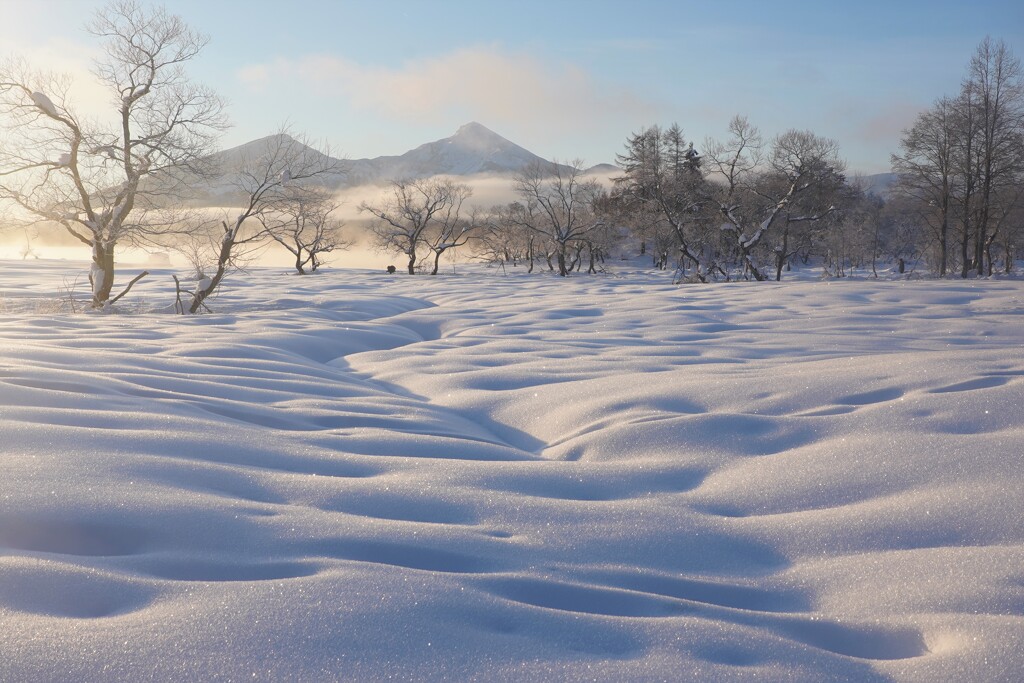 雪原キャンパス