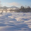 雪原キャンパス