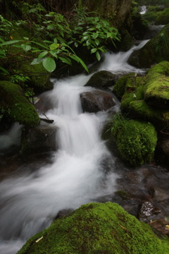 苔沢清流