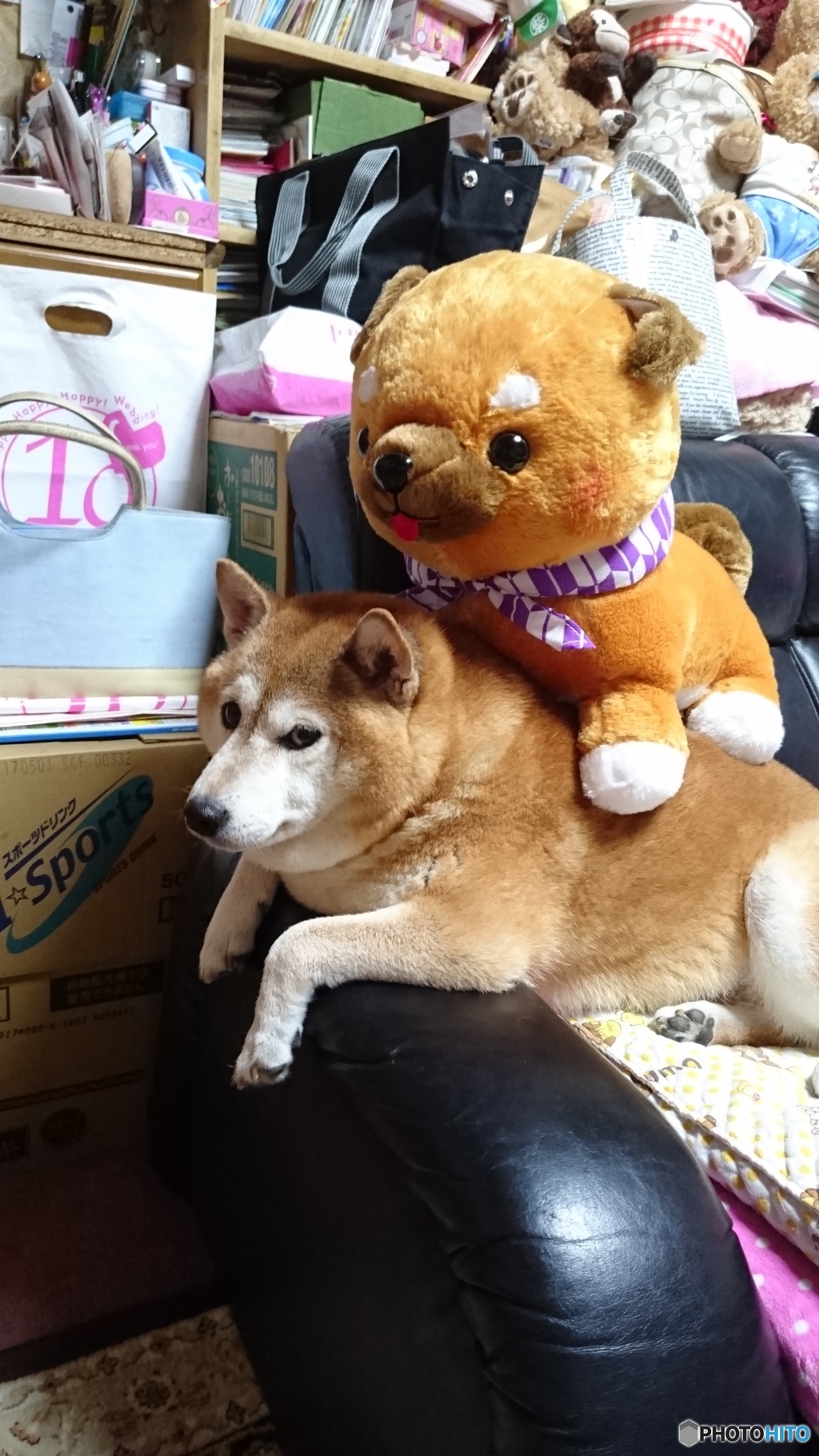 重いんだけど！！