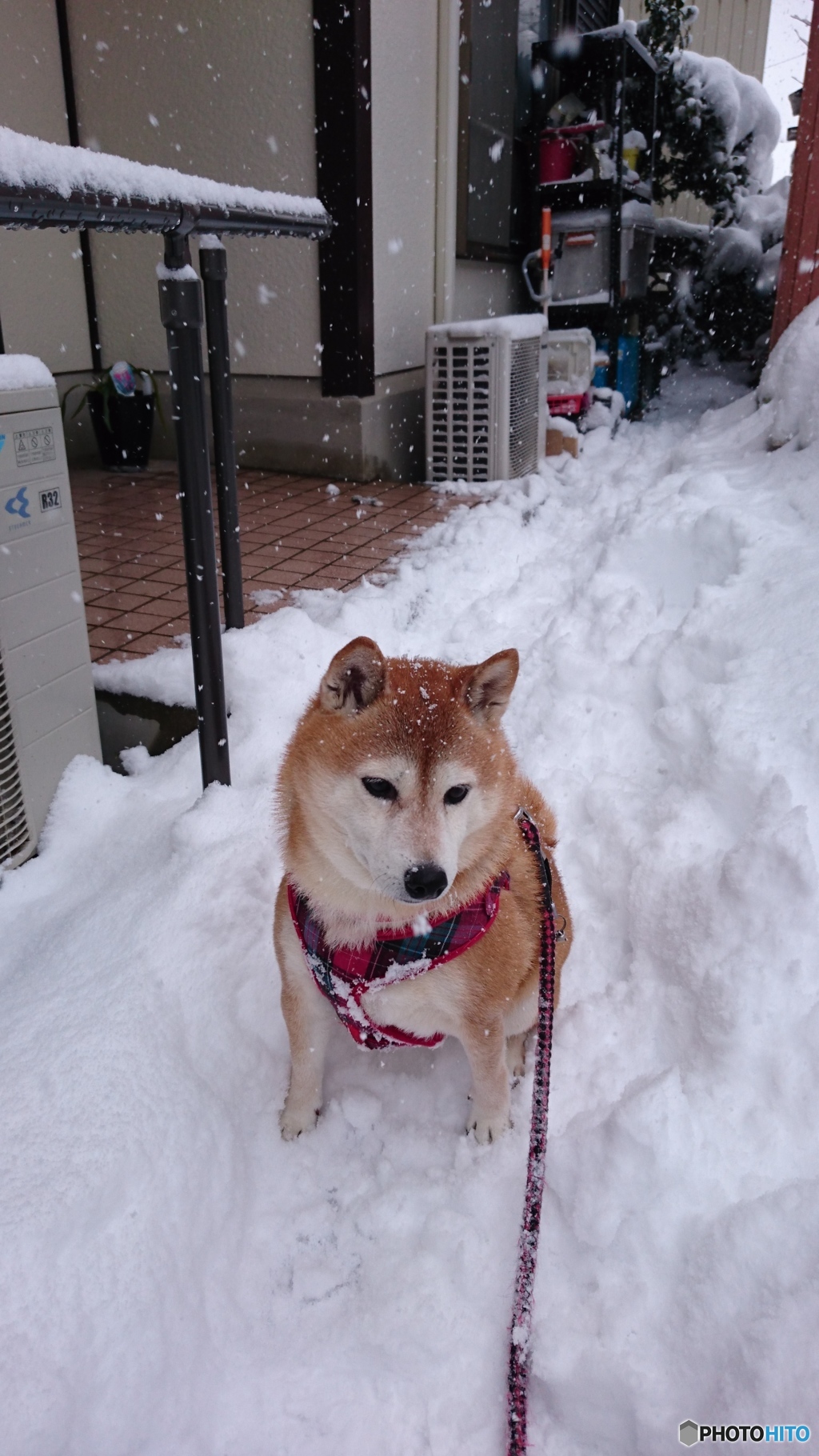やっぱり行くの！！