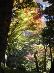 椿山荘庭園
