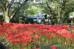 世尊寺（比曽寺跡）