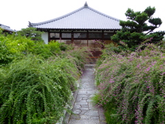 萩の寺　常林寺