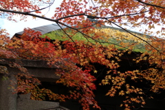 蓮華寺