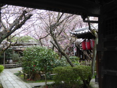雨宝院