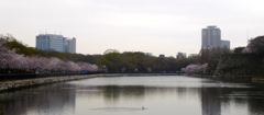 大阪城