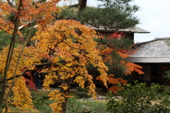 無鄰菴