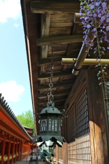 春日大社