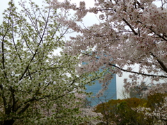 大阪城