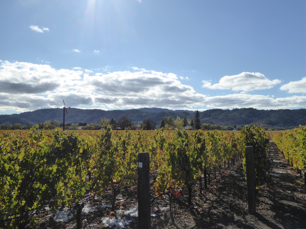 Opus One Winery