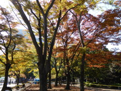日比谷公園