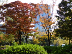 日比谷公園