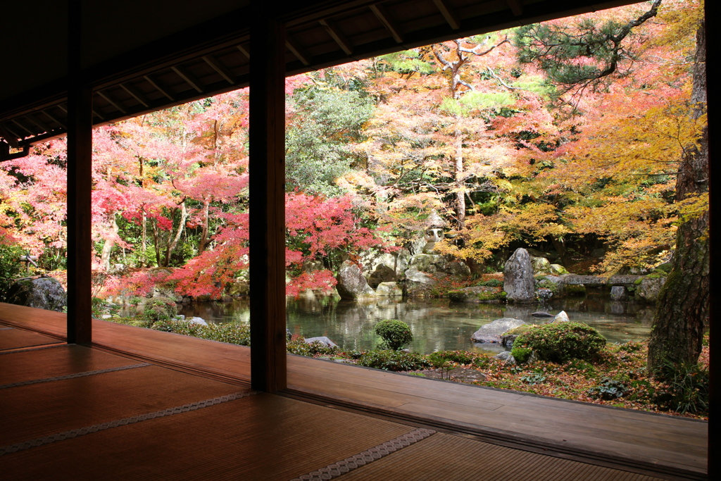 蓮華寺庭園