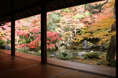 蓮華寺庭園