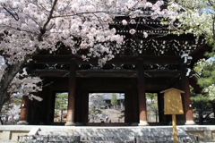 金戒光明寺