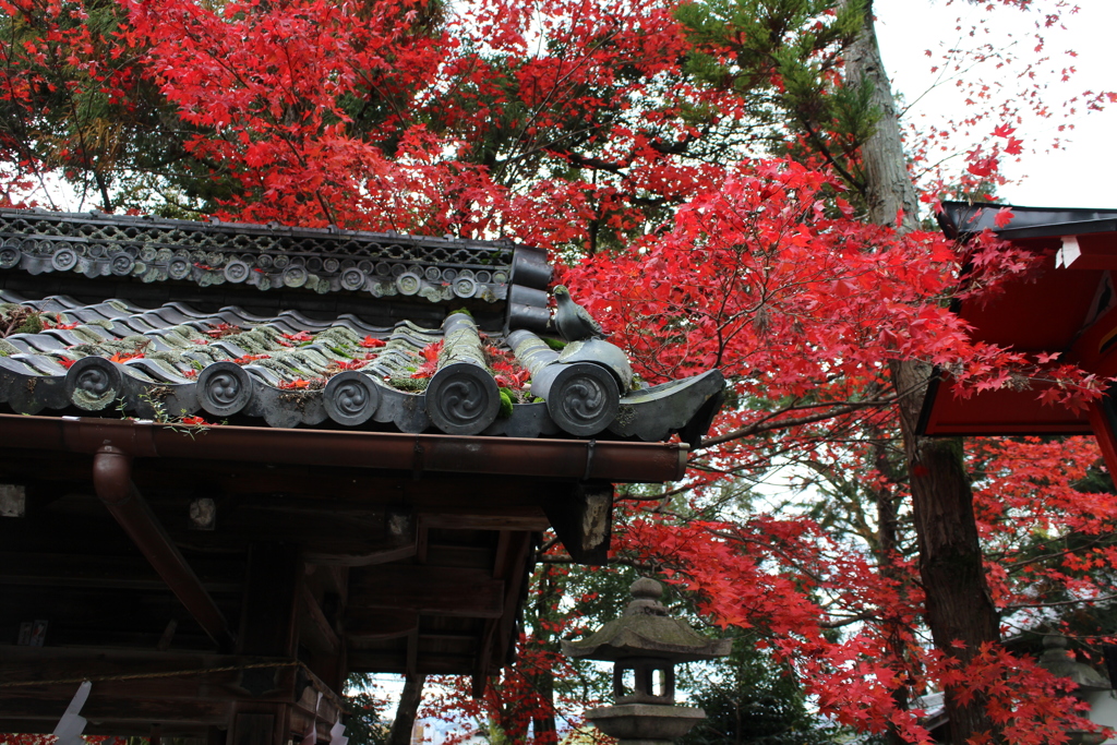 三宅八幡宮