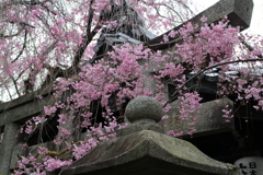 雨宝院
