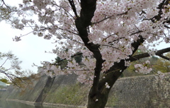 大阪城