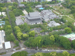 東京タワーより増上寺