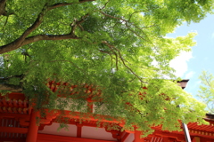 春日大社