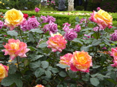 旧古河庭園