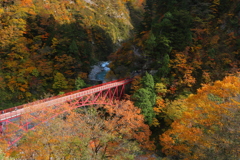 黒部峡谷の紅葉