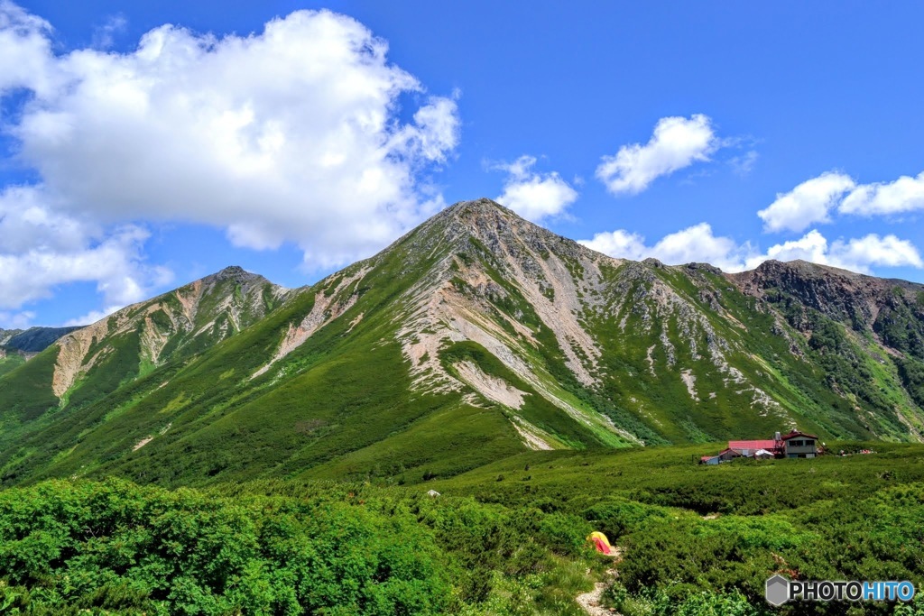 夏山