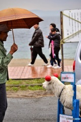 雨