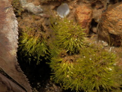 P3030184