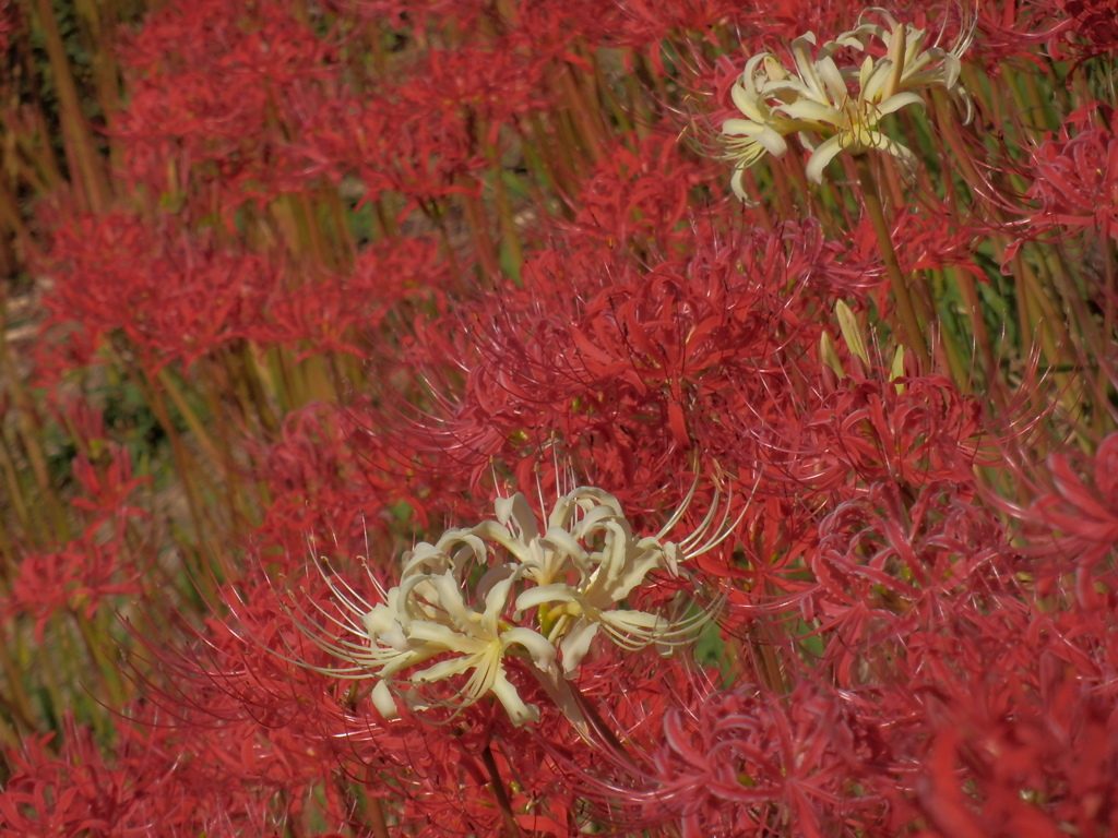 P9221554
