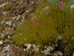 P3030181