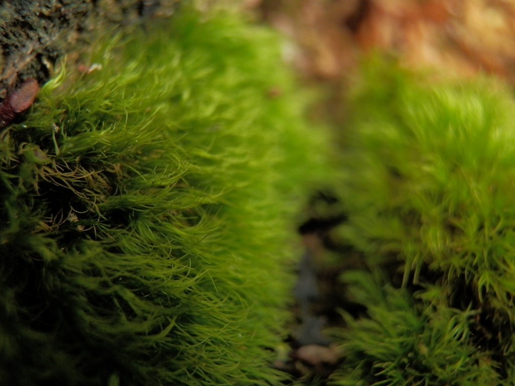 P7220516