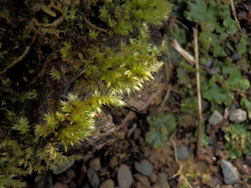 P3030117