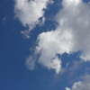 P8181460