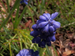 P3310642