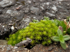 P8181440