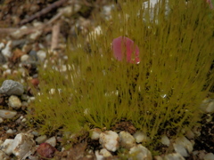 P3030183