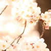 spring has come
