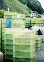 波佐見陶器市