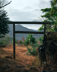 山頂の鳥居