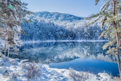 春の雪