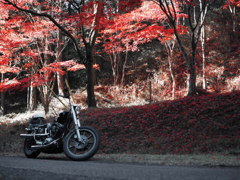 バイクとアカ