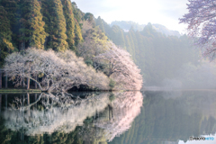 人知れず優し気に