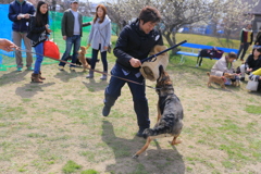 警察犬と戦う