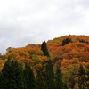 紅葉　その１